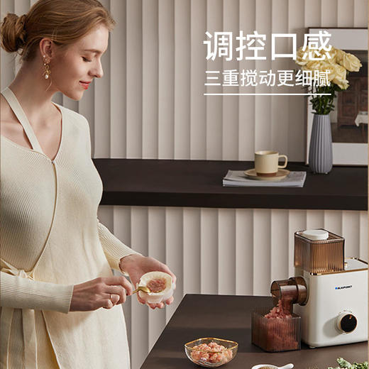 【蓝宝】德国蓝宝绞肉机绞馅家用电动小型多功能打肉馅碎肉绞菜搅拌料理机【蓝宝】 商品图3