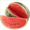 【9.9元/个】甜王西瓜约10斤左右（1501398） 商品缩略图0