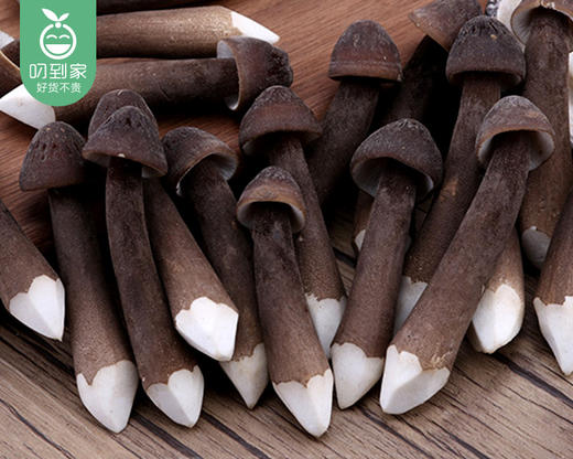 【叼鲜蔬】古田新鲜鸡枞菇/1份（约150g） 商品图1