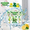 KJ 原装进口澳洲Morning Fresh超级浓缩洗洁精 （原植物香）400ml 商品缩略图0