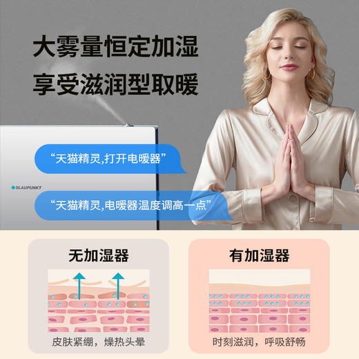 【蓝宝】德国蓝宝加湿取暖器家用节能对流式电热暖风机客厅速热H12【蓝宝】 商品图3