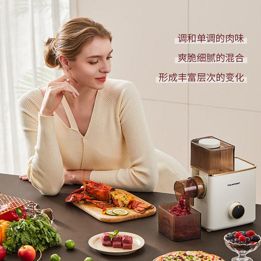 【蓝宝】德国蓝宝绞肉机绞馅家用电动小型多功能打肉馅碎肉绞菜搅拌料理机【蓝宝】 商品图2