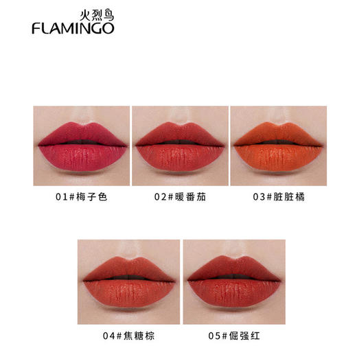 【火烈鸟不专情唇釉套盒】哑光雾面唇釉持久不沾杯显白红棕番茄脏橘 商品图3