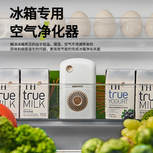 【大宇】大宇冰箱除味器DY-CW01 商品图0