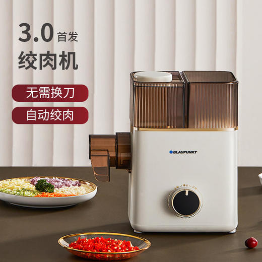 【蓝宝】德国蓝宝绞肉机绞馅家用电动小型多功能打肉馅碎肉绞菜搅拌料理机【蓝宝】 商品图0