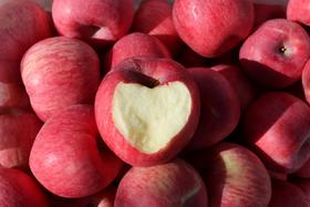 陕北黄土高原 至尊版洛川苹果8枚  净重4.5-4.8斤礼盒装