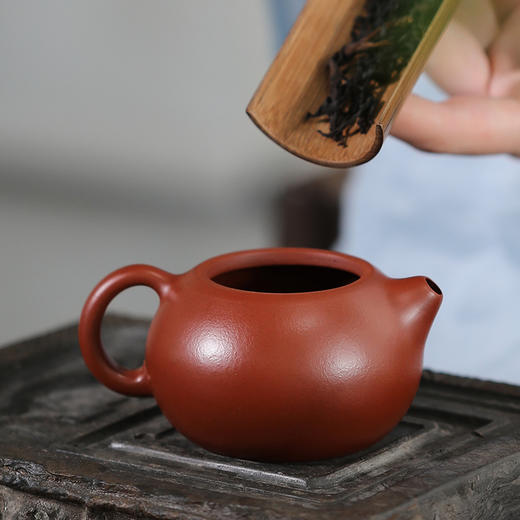 【醉西施】150cc 煤窑皱皮朱泥 商品图6