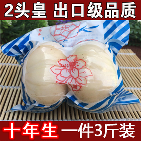 兰州鲜百合两头皇出口级品质土特产食用特级甜新鲜百合真空包装