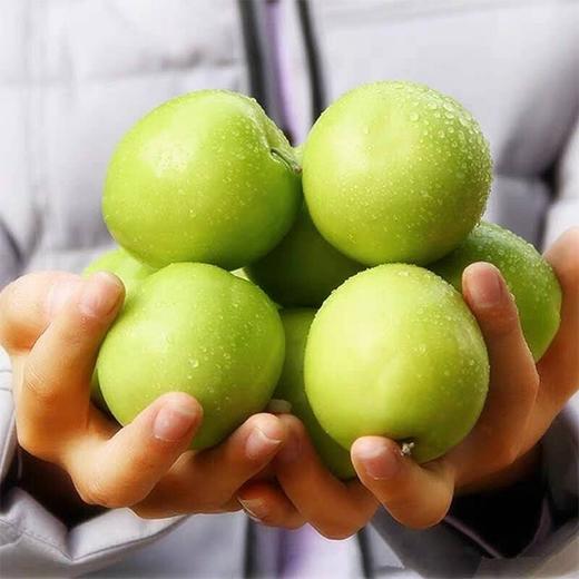 【白玉脆枣】台湾牛奶枣 20枚装 净重约3.5斤 商品图4