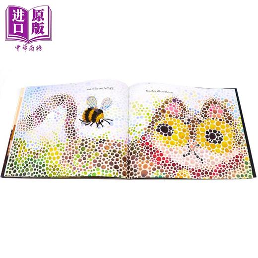 【中商原版】They All Saw a Cat	凯迪克：他们都看见了一只猫 儿童获奖故事绘本 平装 英文原版 3-6岁 商品图4