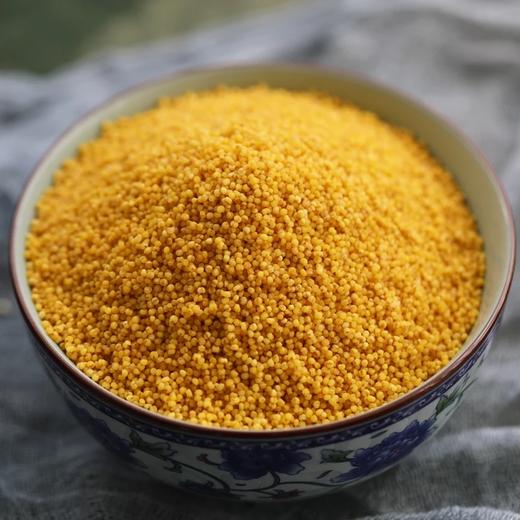 陕北【米脂黄小米】月子米 、宝宝米、米香浓郁  营养健康 ！ 商品图0