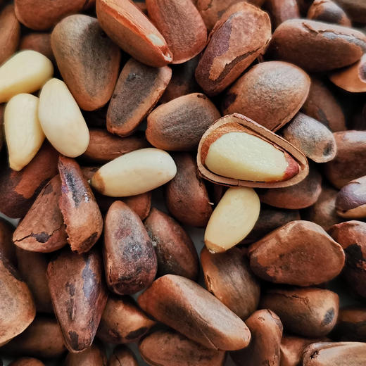 长白山【红松子】原味醇香特大粒松籽 野生自然开口 优质饱满 满口醇香 不油腻 非油炸更健康！ 商品图2