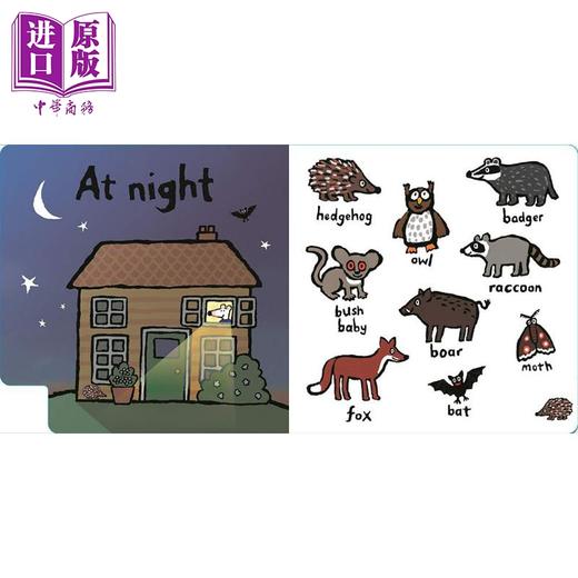 【中商原版】Maisy's Animals: A First Words Book US小鼠波波异形书：动物单词书美版 低幼亲子启蒙绘本 纸板书 英文原版 商品图2