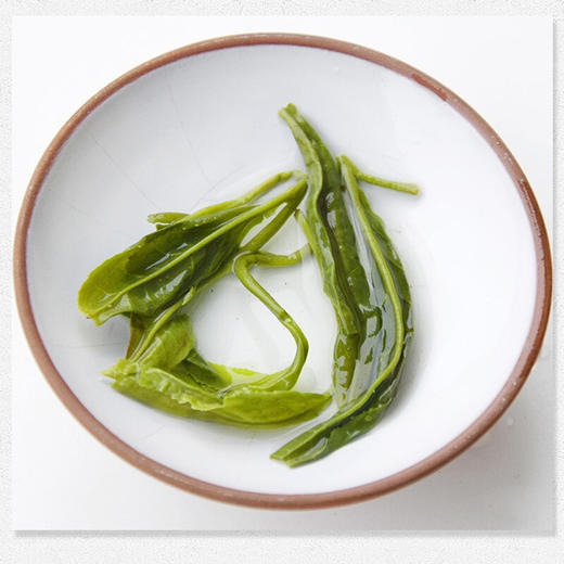 【宜昌助农馆】春茶 高山云雾绿茶250g/袋 商品图2