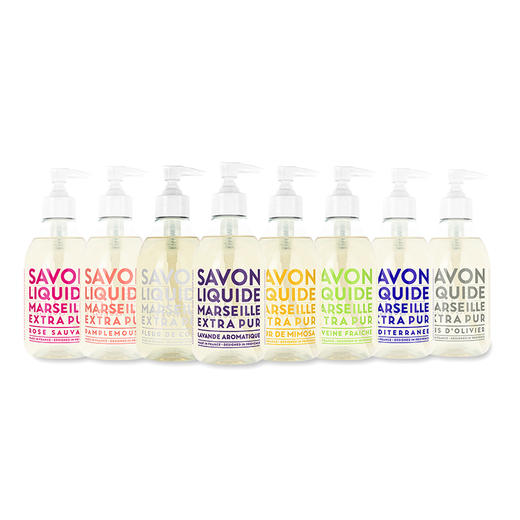 兰西碧EP纯粹系列液体皂300ml 商品图0