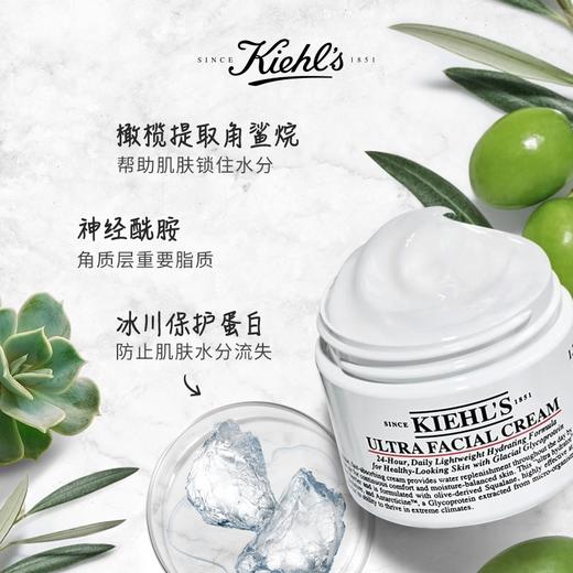 Kiehls科颜氏 高效保湿面霜 50ml 商品图2