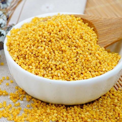 陕北【米脂黄小米】月子米 、宝宝米、米香浓郁  营养健康 ！ 商品图1