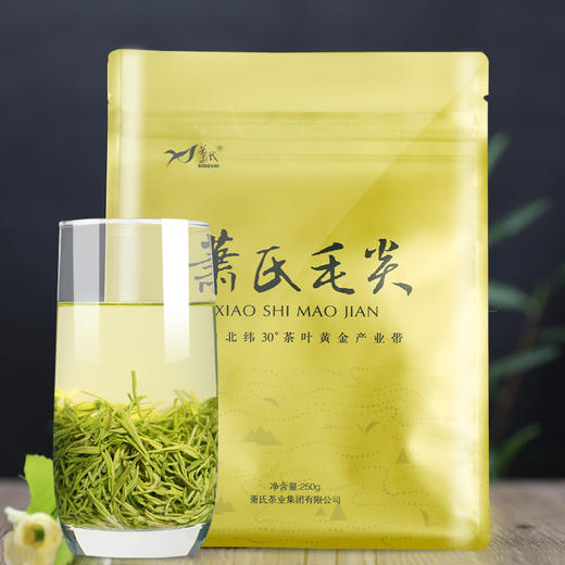 【宜昌助农馆】新茶上市 百圆惠萧氏毛尖茶250g/袋 商品图1