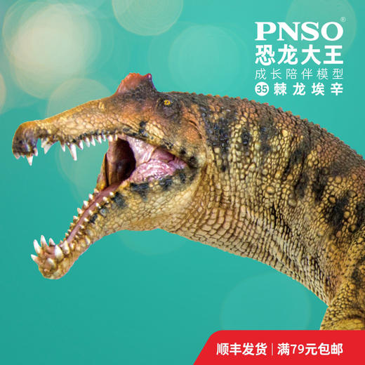 pnso棘龙埃辛恐龙大王成长陪伴模型35