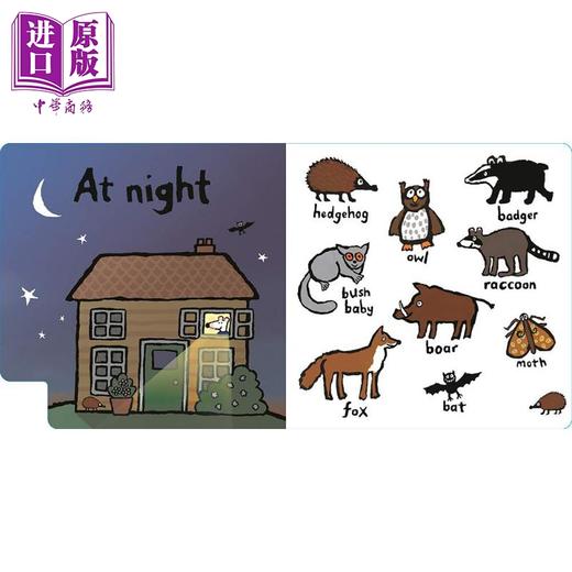 【中商原版】Maisy's Animals: A First Words Book US小鼠波波异形书：动物单词书美版 低幼亲子启蒙绘本 纸板书 英文原版 商品图4