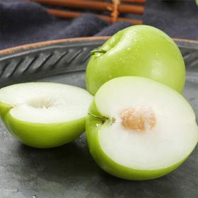 【白玉脆枣】台湾牛奶枣 20枚装 净重约3.5斤