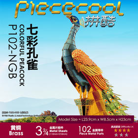 拼酷 七彩孔雀 P102-NGB