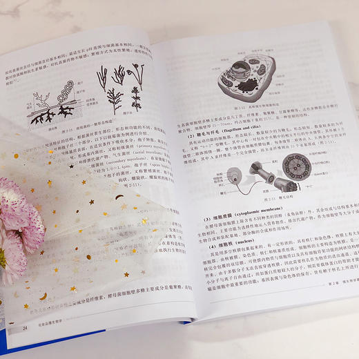 化妆品微生物学 商品图3