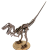 迅猛龙骨架-褐色 商品缩略图0