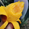 三亚自然熟山野贵妃芒🥭 商品缩略图12
