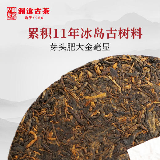 澜沧古茶2019年冰岛普洱茶冰岛古树熟茶纯料357g云南七子饼茶叶收藏（一提拍7片） 商品图2