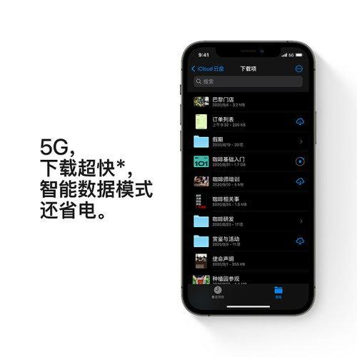 Apple iPhone 12 Pro  支持移动联通电信5G 双卡双待手机 商品图12