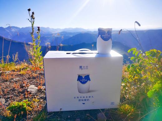 新疆马三三酸奶·小白罐原味酸奶·零蔗糖酸奶·树莓酸奶·西梅酸奶·四种口味混搭装·全国包邮· 商品图7