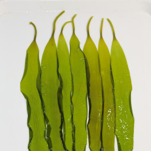 福建【霞浦海带嫩苗】鲜嫩爽口 营养丰富 火锅伴侣，清爽凉拌，滋补炖汤，美味不停！ 商品图3