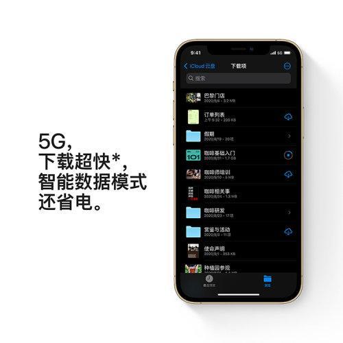Apple iPhone 12 Pro  支持移动联通电信5G 双卡双待手机 商品图2