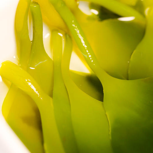 福建【霞浦海带嫩苗】鲜嫩爽口 营养丰富 火锅伴侣，清爽凉拌，滋补炖汤，美味不停！ 商品图4