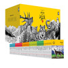动物小说大王沈石溪品藏书系 经典礼盒装（升级版 套装共36册） 商品缩略图0