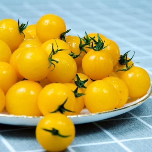 【夏日阳光小番茄 500g*3盒】| 酸甜可口,皮薄多汁,每一口都是汁水