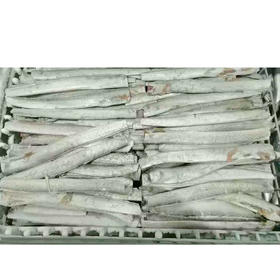 【9.9元2斤】散去头去尾带鱼段（1501671）