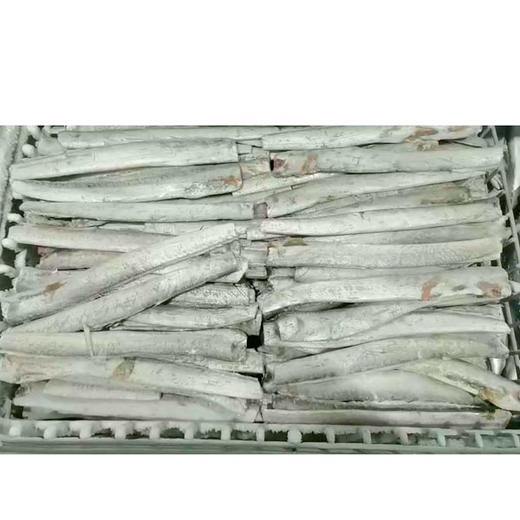 【9.9元2斤】散去头去尾带鱼段（1501671） 商品图0