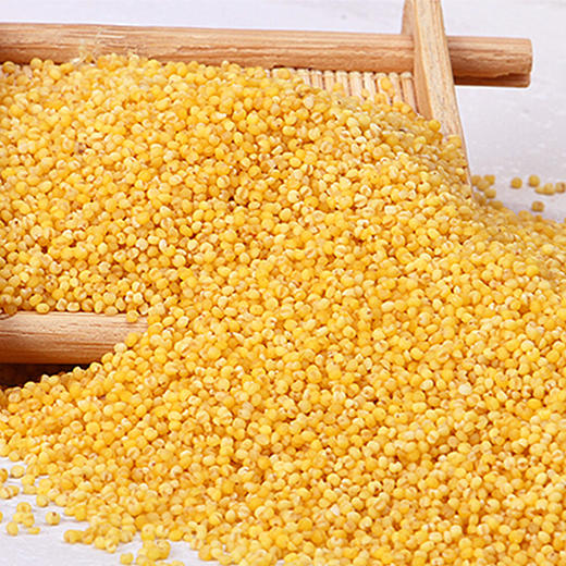 陕北【米脂黄小米】月子米 、宝宝米、米香浓郁  营养健康 ！ 商品图4