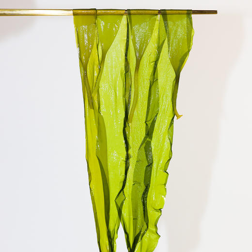 福建【霞浦海带嫩苗】鲜嫩爽口 营养丰富 火锅伴侣，清爽凉拌，滋补炖汤，美味不停！ 商品图2