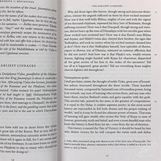【中商原版】The Mahabharata 英文原版 摩诃婆罗多 商品图4