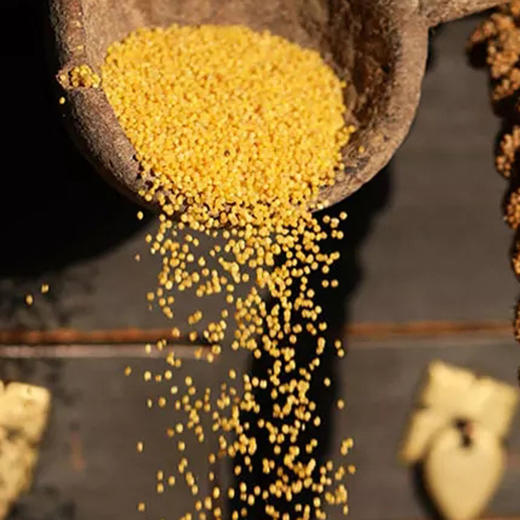 陕北【米脂黄小米】月子米 、宝宝米、米香浓郁  营养健康 ！ 商品图5