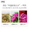 花养花 x 荣宝斋联名冻干玫瑰鲜花茶礼盒 3罐*24g 商品缩略图2