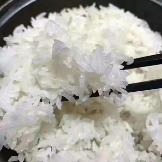 【正宗五常大米 稻花香2号】精挑细选，品质至上，米香浓郁，回味无穷，现磨现发货！ 商品图1