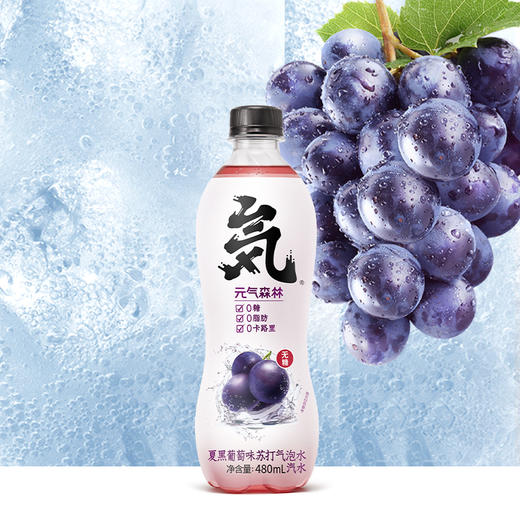 元气森林夏黑葡萄味气泡水480ml(T) 商品图6