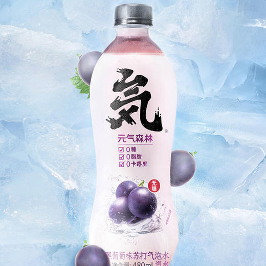 元气森林夏黑葡萄味气泡水480ml(T) 商品图2