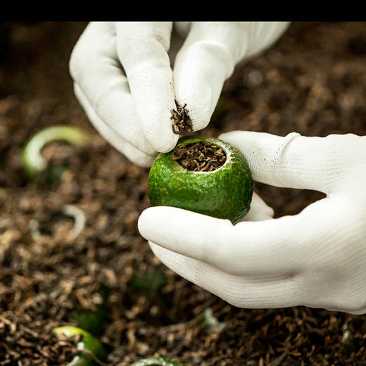 【直送到家】250g华彤清香小青柑 商品图1