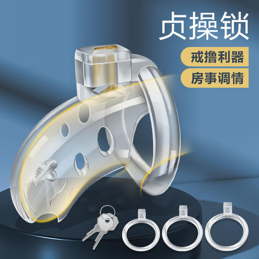 谜姬 情趣贞操锁 锁禁欲贞操锁贞I洁锁男用防出轨sm情趣用品玩具成人束缚阴茎锁鸟笼贞懆锁贞操带贞操裤戒色戒撸 情趣cb锁 商品图1