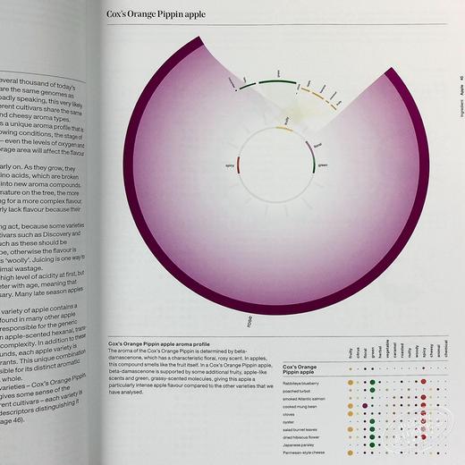 【中商原版】食材的艺术与科学 英文原版 The Art & Science of Foodpairing 商品图5